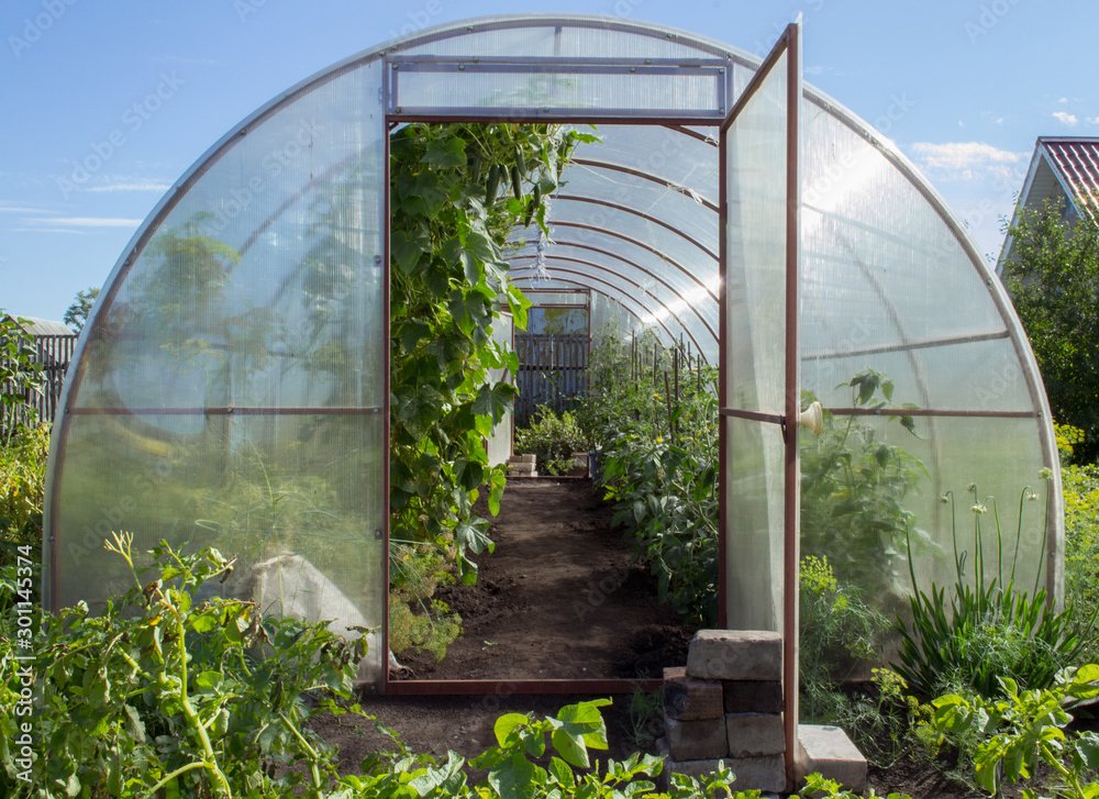Poly House / Green House Manufacturers